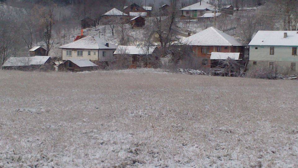Kaynaşlı Çatalçam Köyü Resimleri 7
