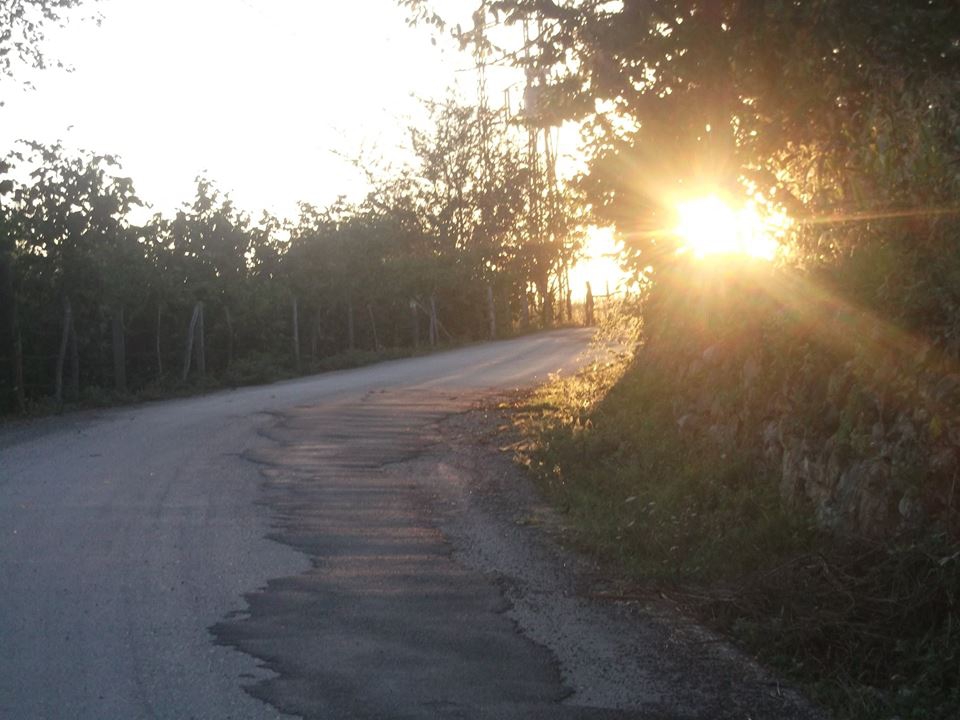 Kaynaşlı Çatalçam Köyü Resimleri 8