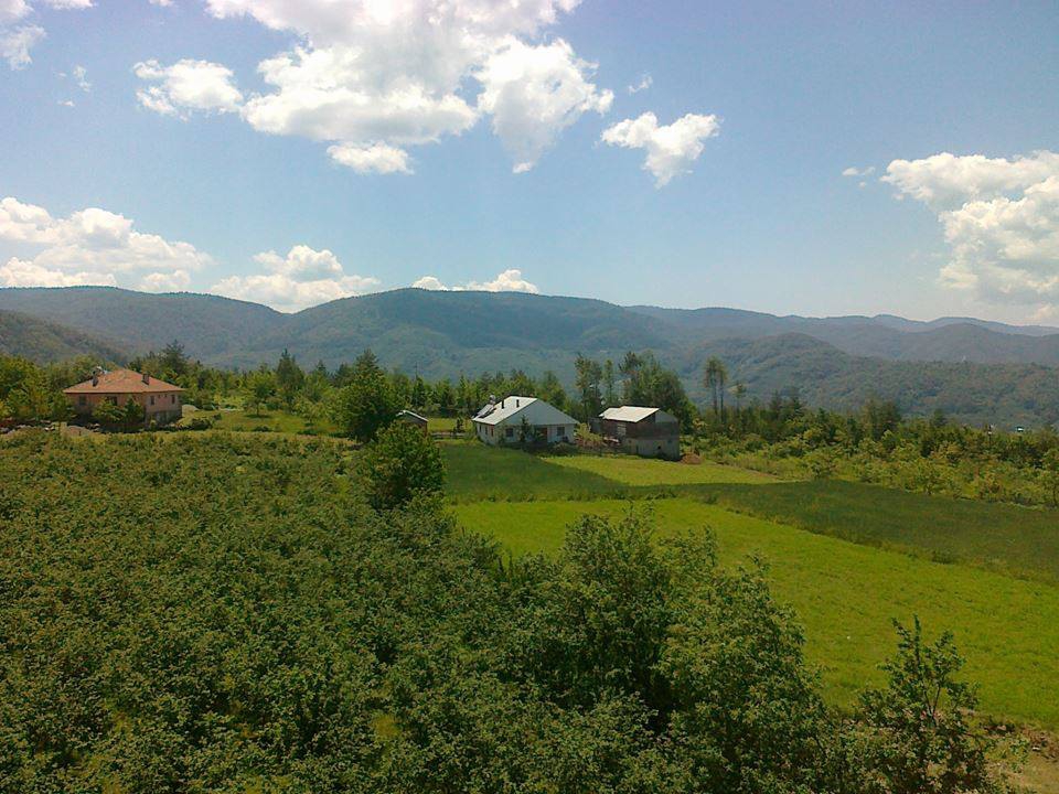 Kaynaşlı Çatalçam Köyü Resimleri 9