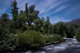 Ovacık Gözeler Köyü Resimleri 1