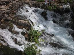 Ovacık Gözeler Köyü Resimleri 11