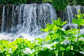 Ovacık Gözeler Köyü Resimleri 2