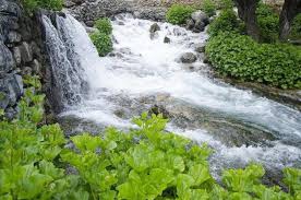 Ovacık Gözeler Köyü Resimleri 5