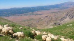 Ovacık Gözeler Köyü Resimleri 8