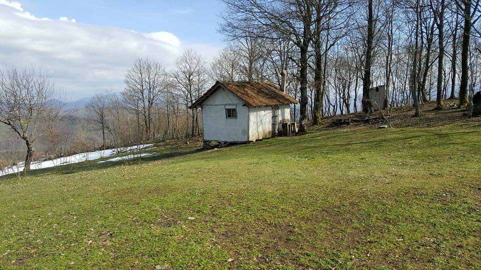 Yığılca Asar Köyü Resimleri 10