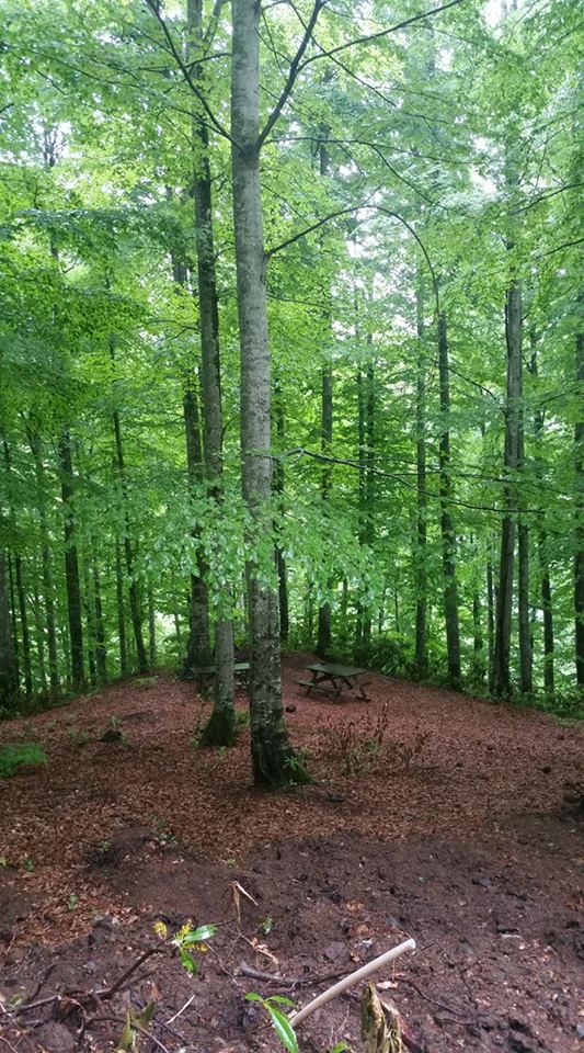 Yığılca Asar Köyü Resimleri 14