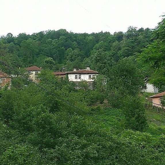 Yığılca Asar Köyü Resimleri 2