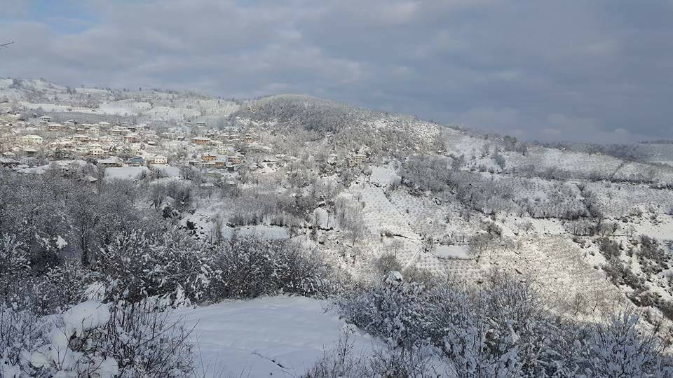 Yığılca Asar Köyü Resimleri 5