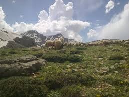 Ovacık Işıkvuran Köyü Resimleri 3