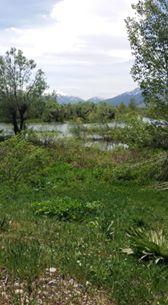 Ovacık Koyungölü  Köyü Resimleri 1