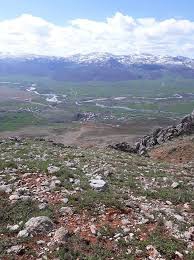 Ovacık Koyungölü  Köyü Resimleri 6