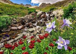 Ovacık Koyungölü  Köyü Resimleri 7