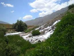 Ovacık Koyungölü  Köyü Resimleri 9