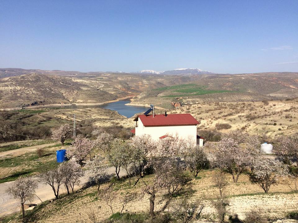 Ağın Yenipayam Köyü Resimleri 3