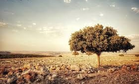 Ovacık Köseler Köyü Resimleri 4