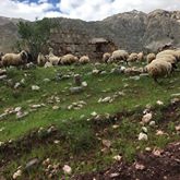 Ovacık Tatuşağı Köyü Resimleri 3