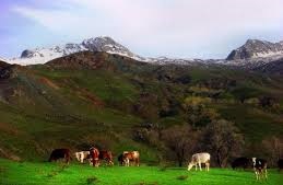 Ovacık Yazıören Köyü Resimleri 7