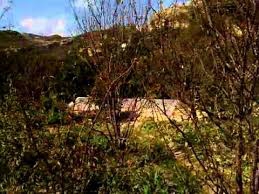 Ovacık Yeşilyazı  Köyü Resimleri 11