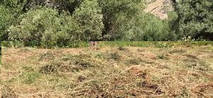 Ovacık Yeşilyazı  Köyü Resimleri 12