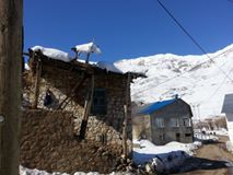 Ovacık Yeşilyazı  Köyü Resimleri 2