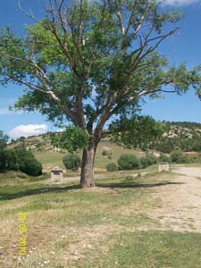 Uşak Çevreköy Resimleri 32