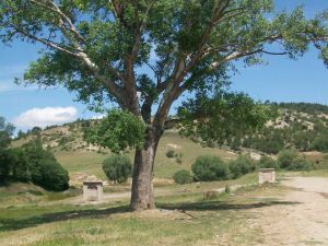 Uşak Çevreköy Resimleri