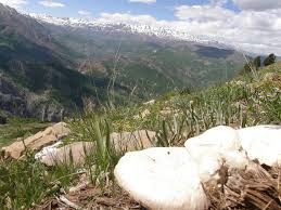 Pülümür Bozağakaraderbendi Köyü Resimleri 2