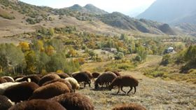 Pülümür Çakırkaya Köyü Resimleri 4