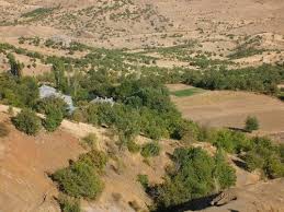 Ağın Bakladamlar Köyü Resimleri 5