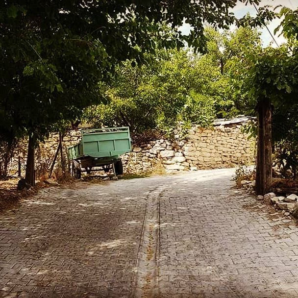 Ağın Çakmakkaya Köyü Resimleri 5