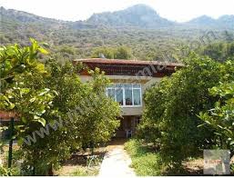 Ağın Çanakça Köyü Resimleri 5