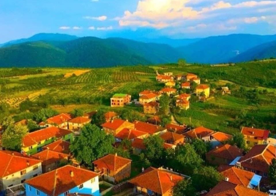 Yığılca Gökçeağaç Köyü Resimleri 1