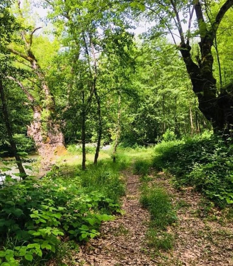 Yığılca Gökçeağaç Köyü Resimleri 3