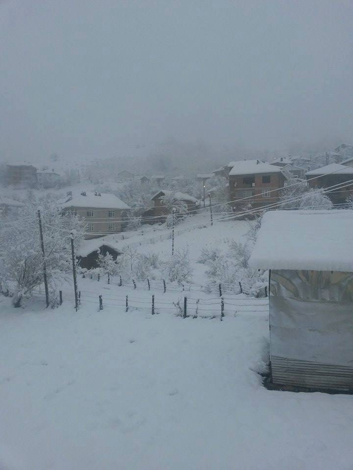 Yığılca Köseler Köyü Resimleri 1