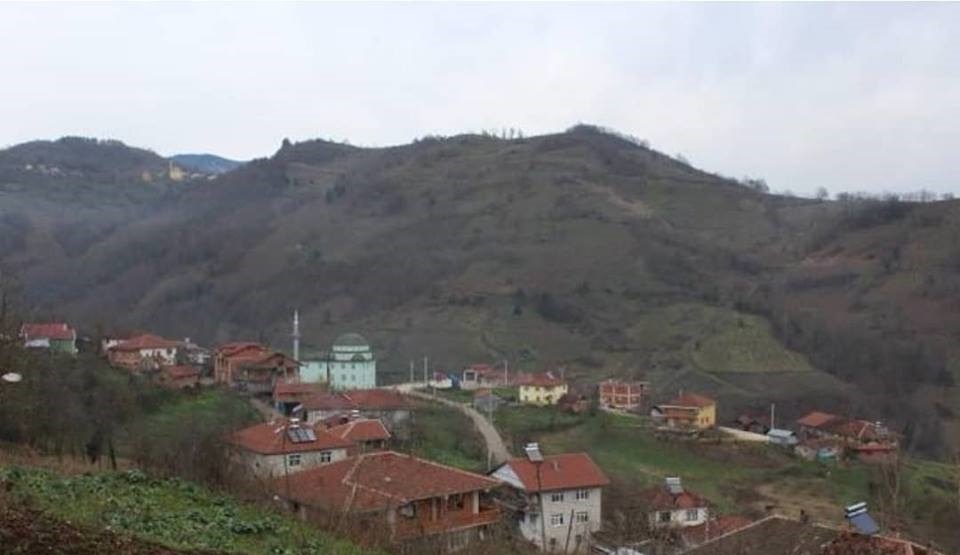 Yığılca Köseler Köyü Resimleri 4