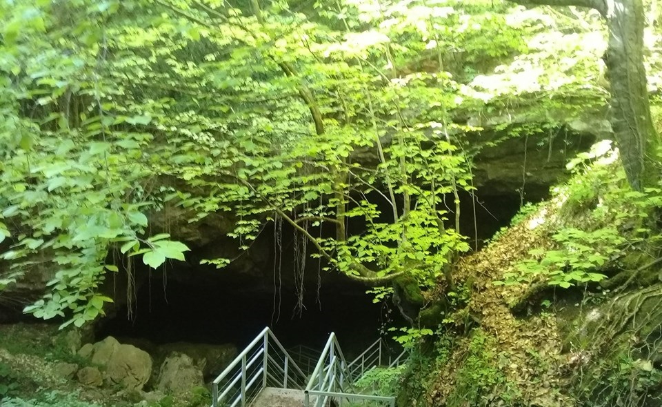 Yığılca Sarıkaya Köyü Resimleri 1