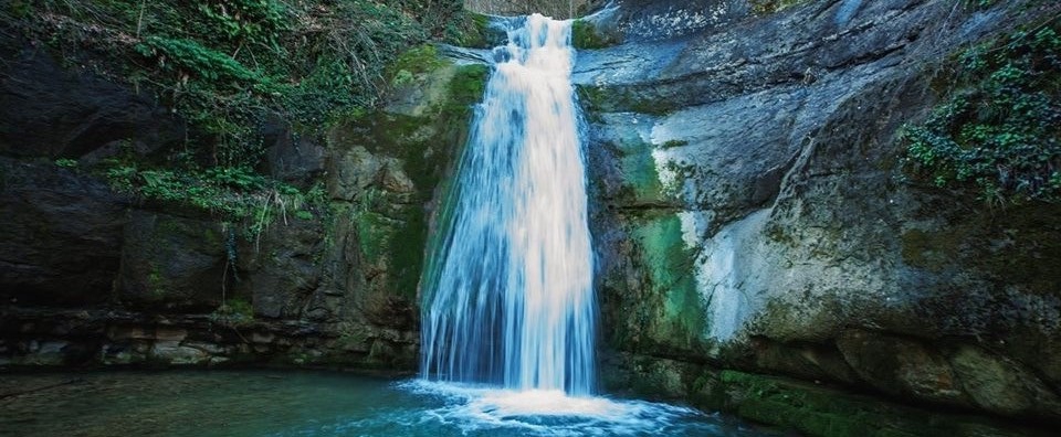 Yığılca Yoğunpelit Köyü Resimleri 2