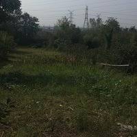 Düzce Yaka Köyü Resimleri 1