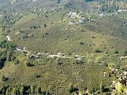 Düzce Yaka Köyü Resimleri 5