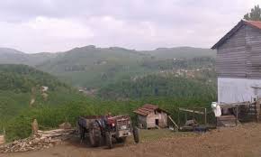 Düzce Akpınar Köyü Resimleri 2