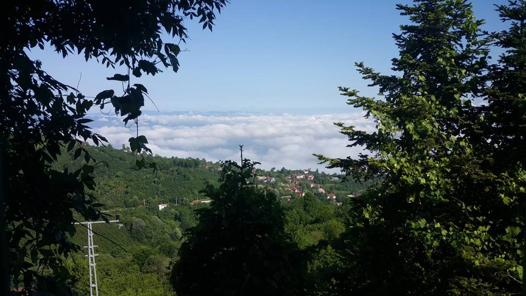 Düzce Aktarla Köyü Resimleri 10