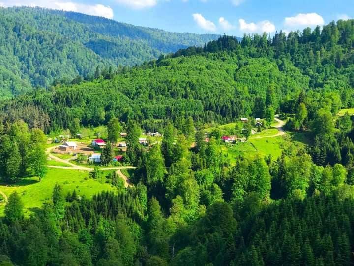 Düzce Aktarla Köyü Resimleri 2