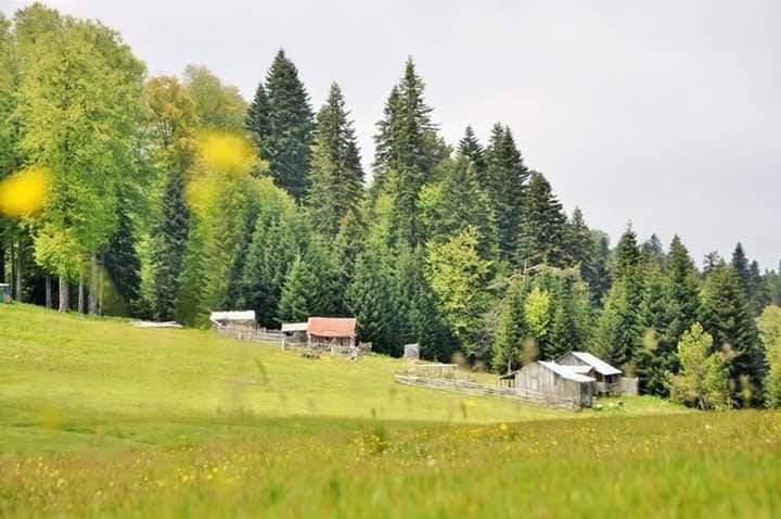 Düzce Aktarla Köyü Resimleri 3