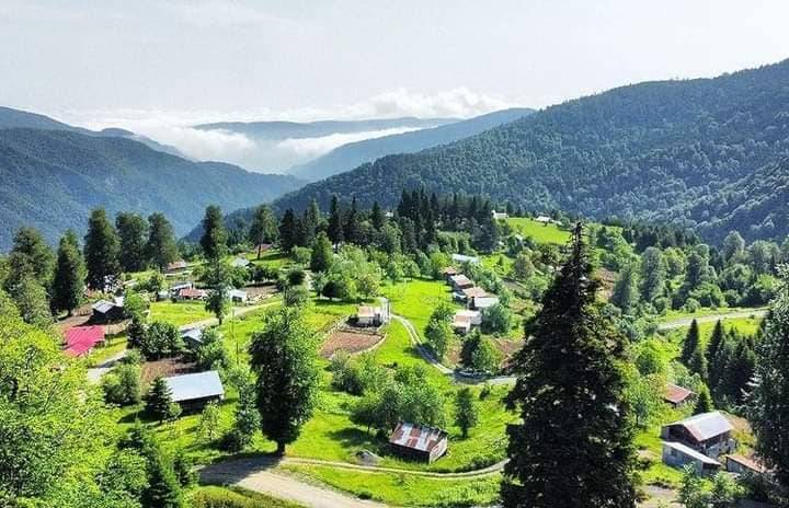 Düzce Aktarla Köyü Resimleri 5