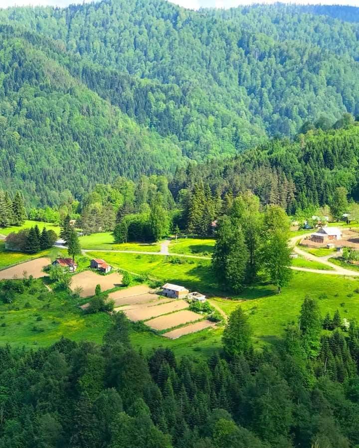 Düzce Aktarla Köyü Resimleri 6