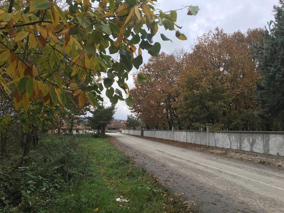 Düzce Akyazı Köyü Resimleri 1