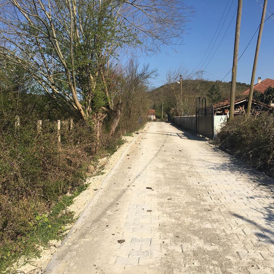 Düzce Akyazı Köyü Resimleri 3