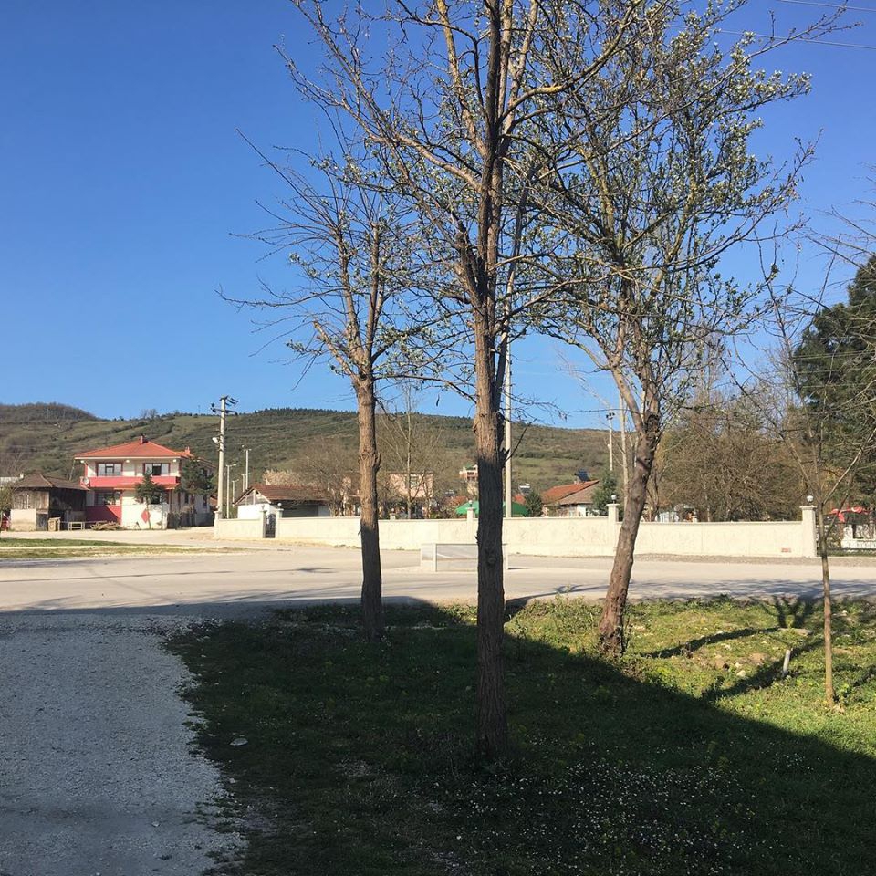 Düzce Akyazı Köyü Resimleri 4