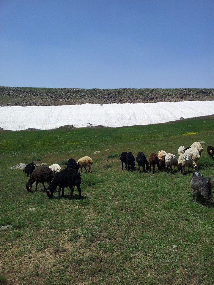 Düzce Altınpınar Köyü Resimleri 5