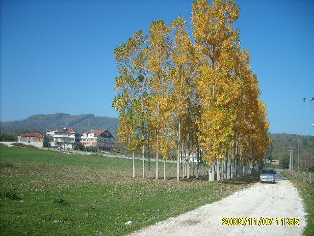 Düzce Aynalı Köyü Resimleri 2